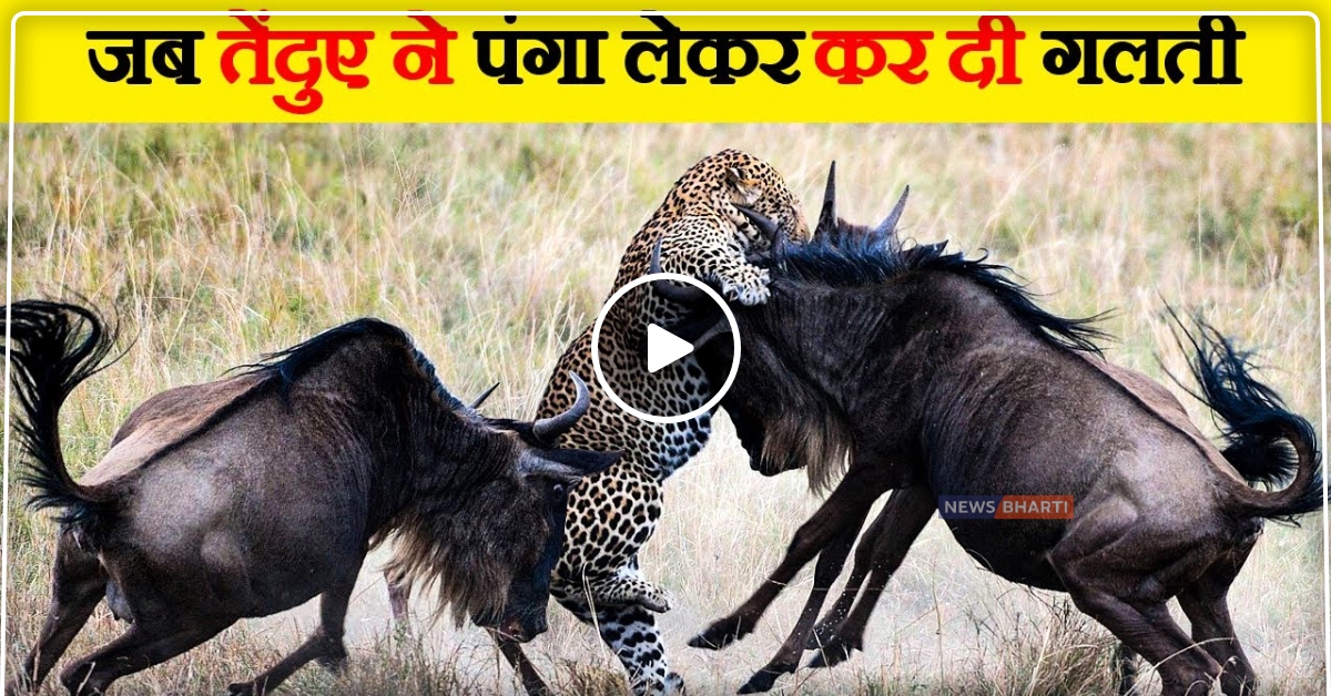 बच्चे को बचाने के लिए तेंदुए से भिड़ गई मां, देखे video